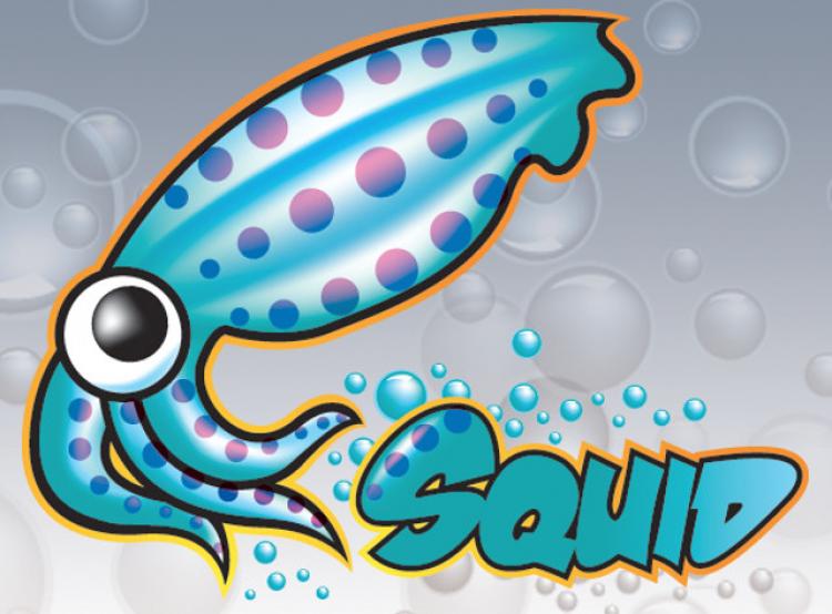 Εγκατάσταση και χρήση proxy (Squid)